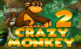 crazy-monkey-2
